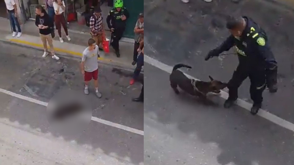 Policía disparó contra el perro de un habitante de calle señalado de maltratar al animal en Rionegro Policía disparó contra el perro de un habitante de calle señalado de maltratar al animal en Rionegro