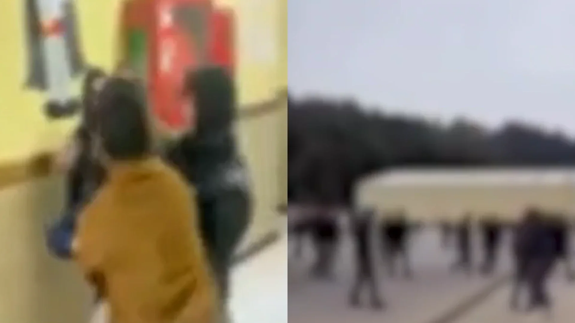 Riña en un colegio de Chile.