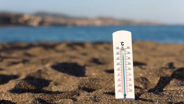 Alertan que el fenómeno de El Niño sería uno de los más fuertes en décadas: revelan récords de calor