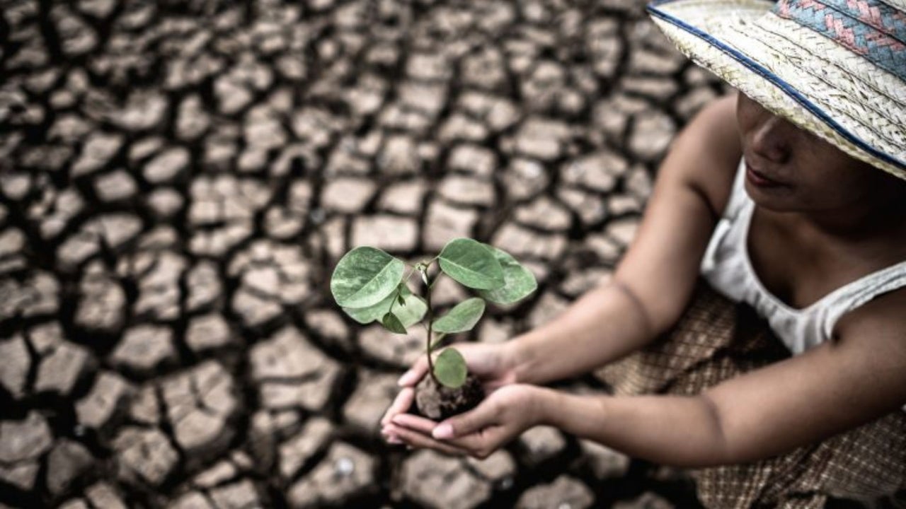 Poverty, violence, and food insecurity: NGOs warn that climate change is “sexist”