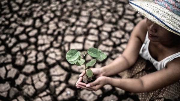 Pobreza, violencia e inseguridad alimentaria: las ONG advierten que el cambio climático es “sexista” Pobreza, violencia e inseguridad alimentaria: las ONG advierten que el cambio climático es “sexista”