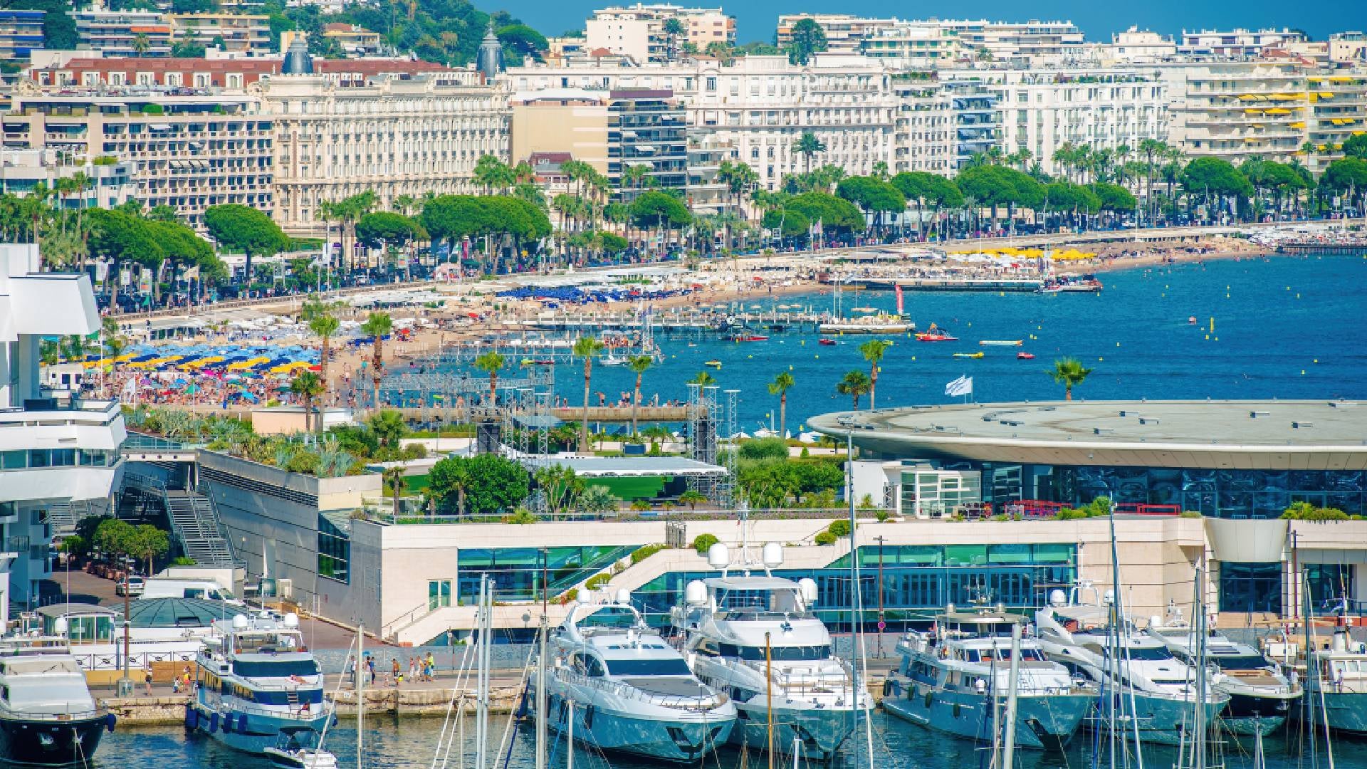 Diseñado por Magnific - Cannes