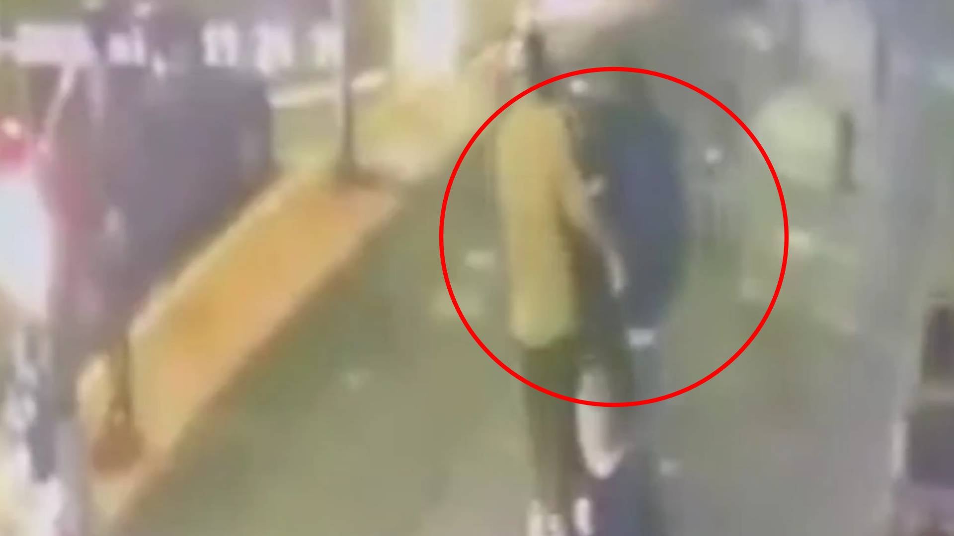 Video de Yulixa Toloza