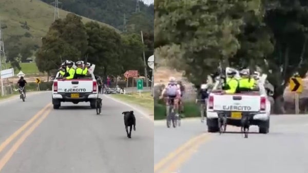 Video | Denuncian que militares habrían abandonado a dos perros en plena vía: los animales corrían detrás de ellos Video | Denuncian que militares habrían abandonado a dos perros en plena vía: los animales corrían detrás de ellos