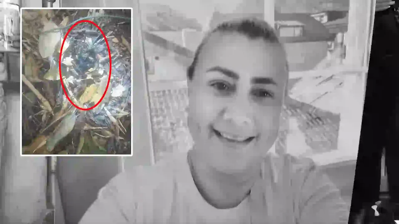 Descubrieron a Yulixa Toloza por las heridas de la ‘lipo’: así reaccionó su familia al hallazgo del cuerpo