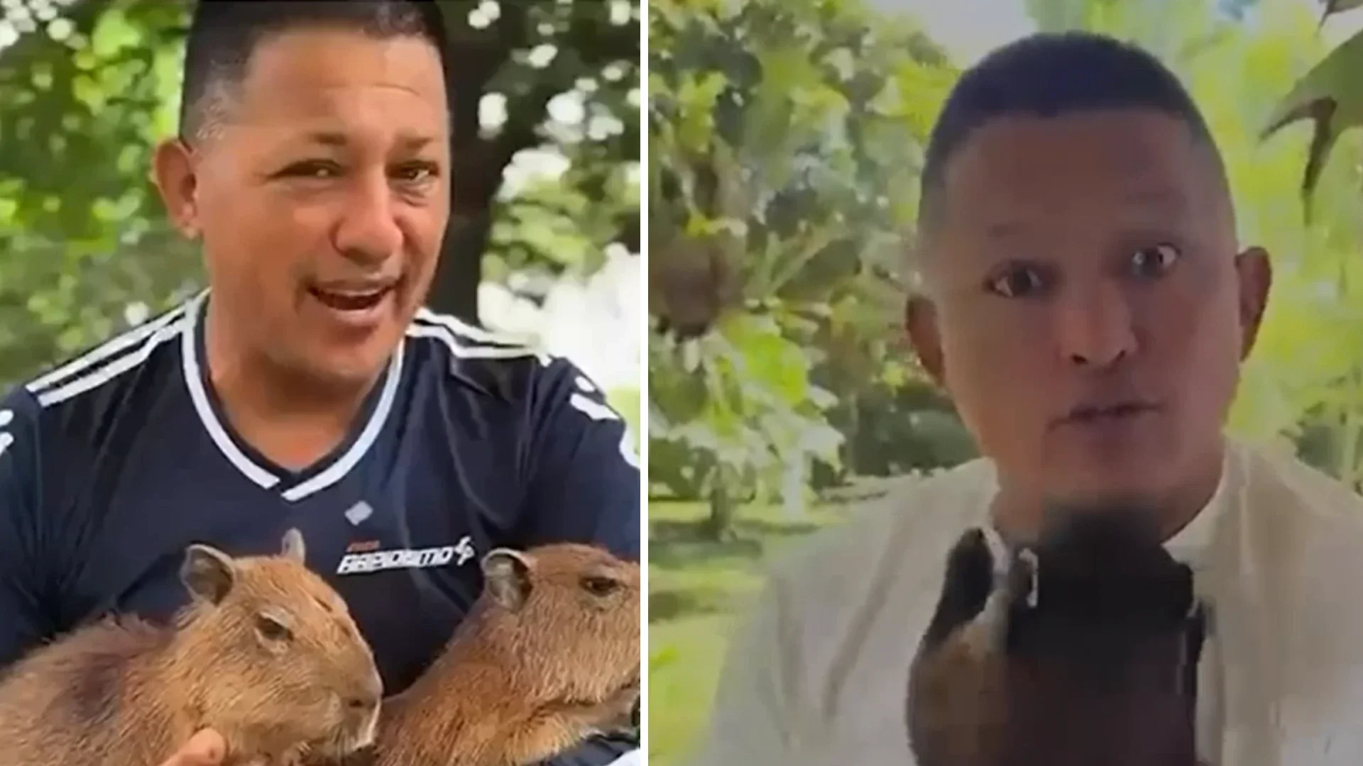 Cárcel para influencer por maltrato de animales.