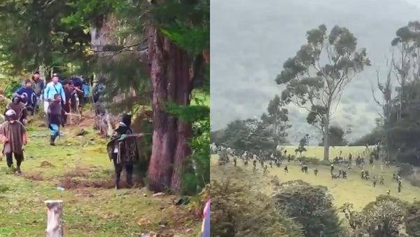 De los 110 indígenas heridos por disputa en Cauca, 85 fueron por arma de fuego De los 110 indígenas heridos por disputa en Cauca, 85 fueron por arma de fuego