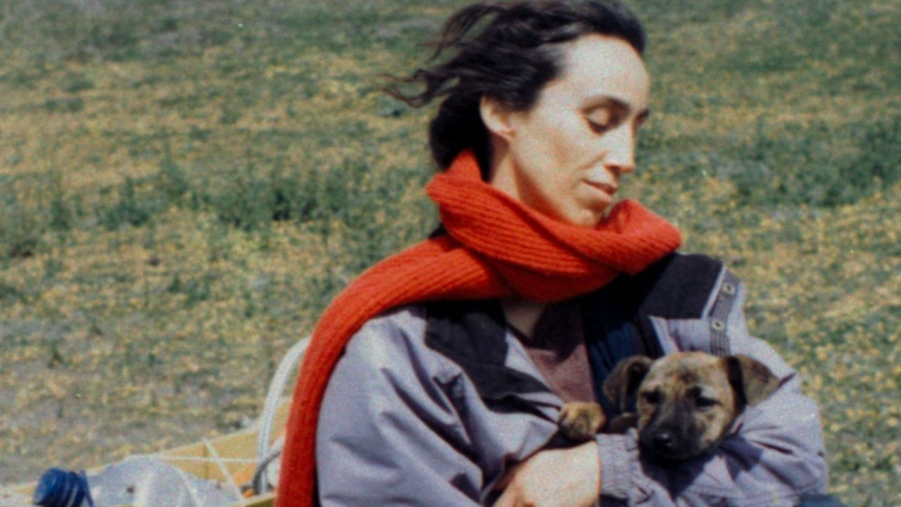 Yuri, la perra chilena que conquistó la Palm Dog en Cannes
