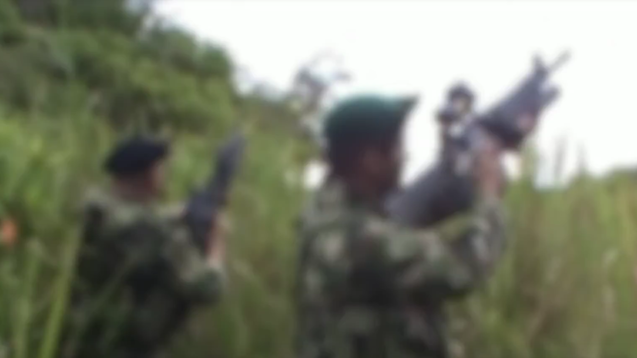 Enfrentamientos entre las disidencias de ‘Mordisco’ y ‘Calarcá’ habrían dejado 48 muertos en Guaviare