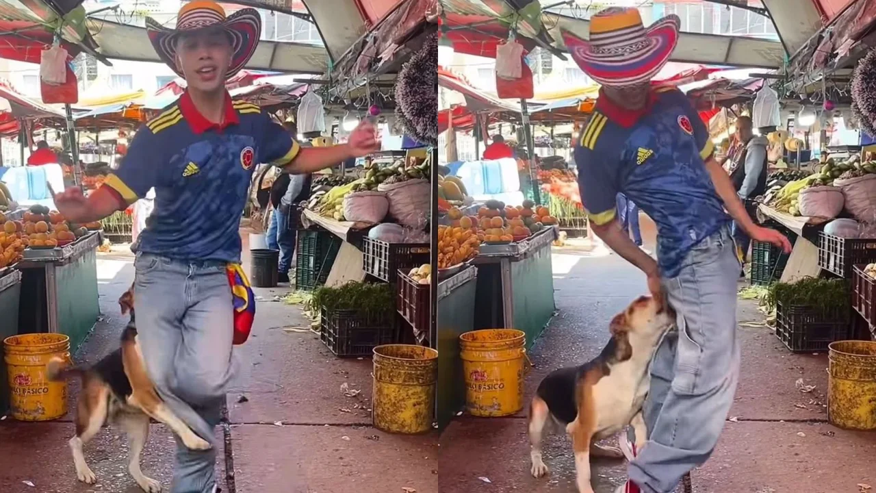 Cover image for Perrito es viral por morder a joven que bailaba la canción ‘Dai Dai’ de Shakira en una plaza