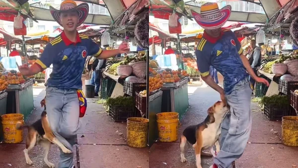 Perrito es viral por morder a joven que bailaba la canción ‘Dai Dai’ de Shakira en una plaza Perrito es viral por morder a joven que bailaba la canción ‘Dai Dai’ de Shakira en una plaza