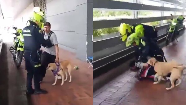 "Lo único que me importaba era mi perrita": habló el joven que fue retirado por cantar cerca de un centro comercial