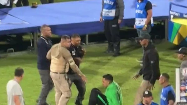 ¿En qué falló la seguridad en Medellín tras el asesinato de un hincha en la final Nacional vs. Junior? ¿En qué falló la seguridad en Medellín tras el asesinato de un hincha en la final Nacional vs. Junior?