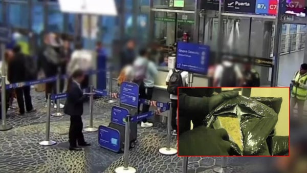 VIDEO | Capturan a pareja que intentaba llevar 33 kilos de marihuana a San Andrés desde Bogotá VIDEO | Capturan a pareja que intentaba llevar 33 kilos de marihuana a San Andrés desde Bogotá