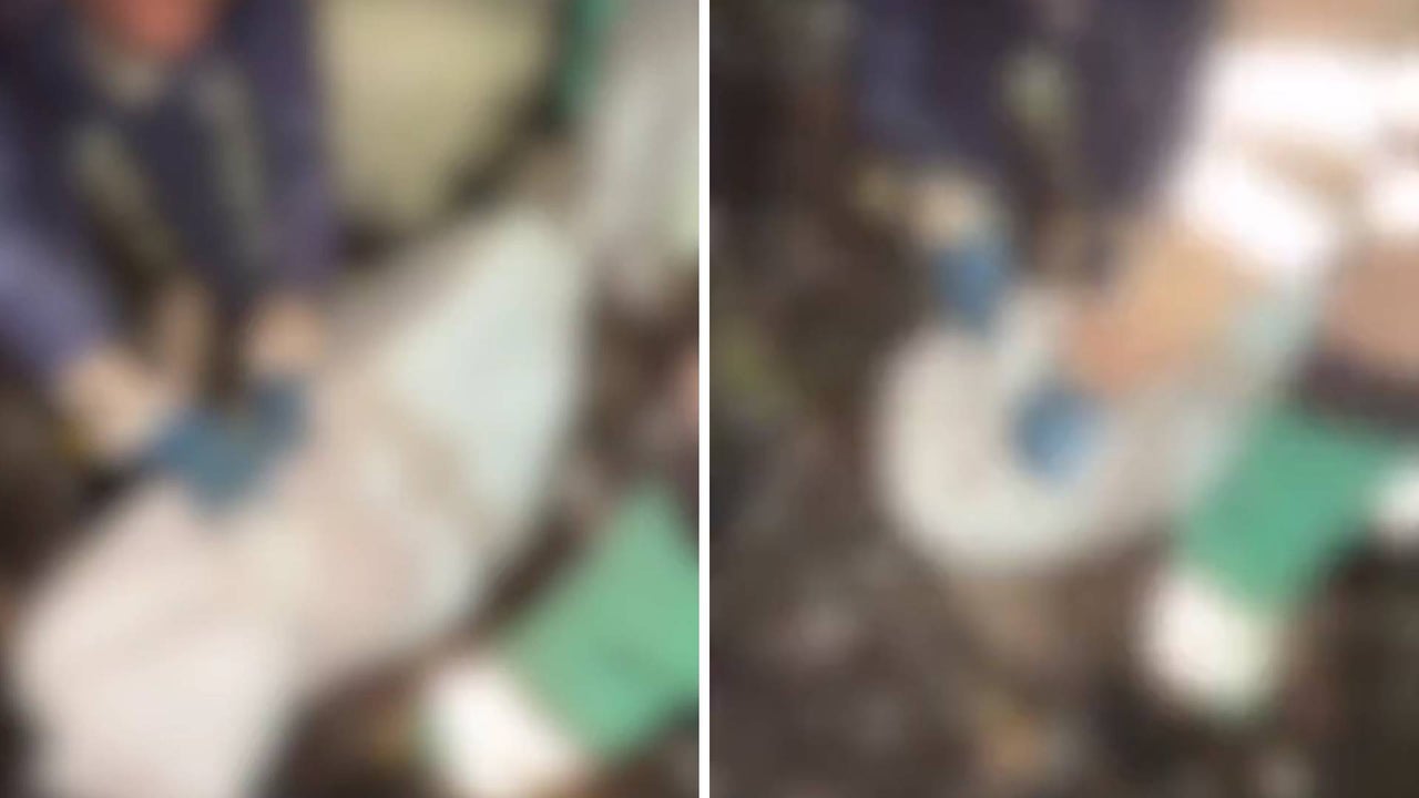 Macabro hallazgo en estación de basura entre Palmira y Rozo: encuentran cuerpo dentro de un contenedor