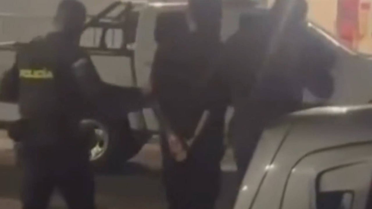 Hombre habría matado a una perrita lanzándola desde un quinto piso en Norte de Santander: esto se sabe