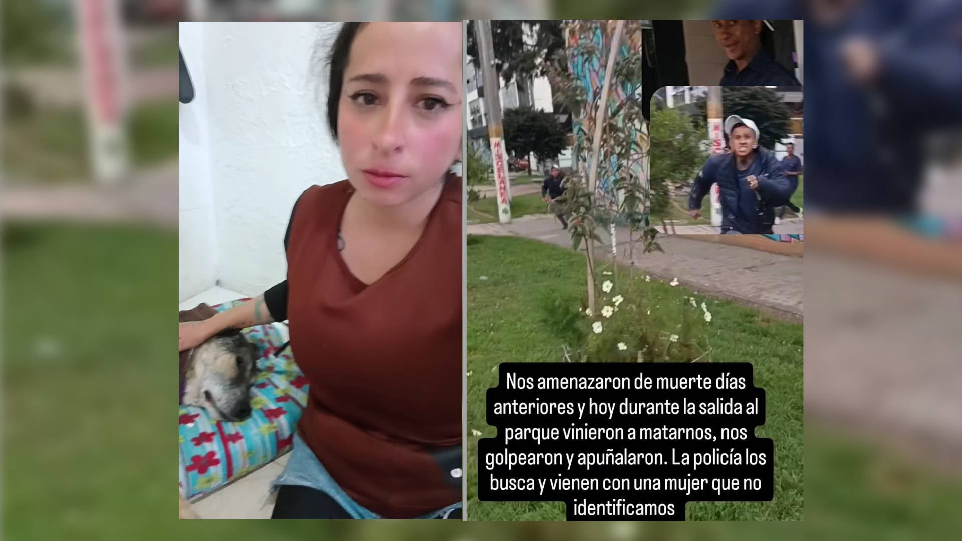 Rescatista agredida y amenazada en Bogotá