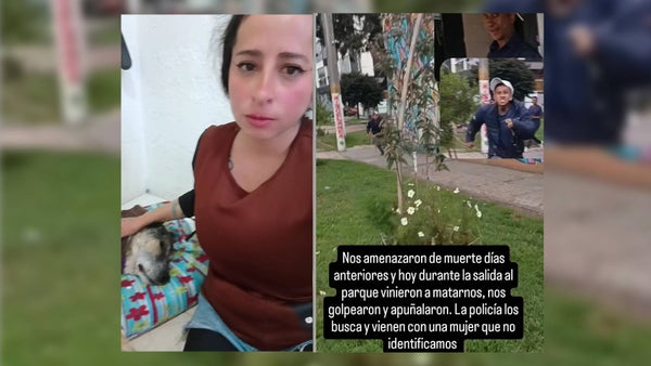 VIDEO | Rescatista de perros fue golpeada y amenazada de muerte en Bogotá: denuncia no poder salir de casa VIDEO | Rescatista de perros fue golpeada y amenazada de muerte en Bogotá: denuncia no poder salir de casa