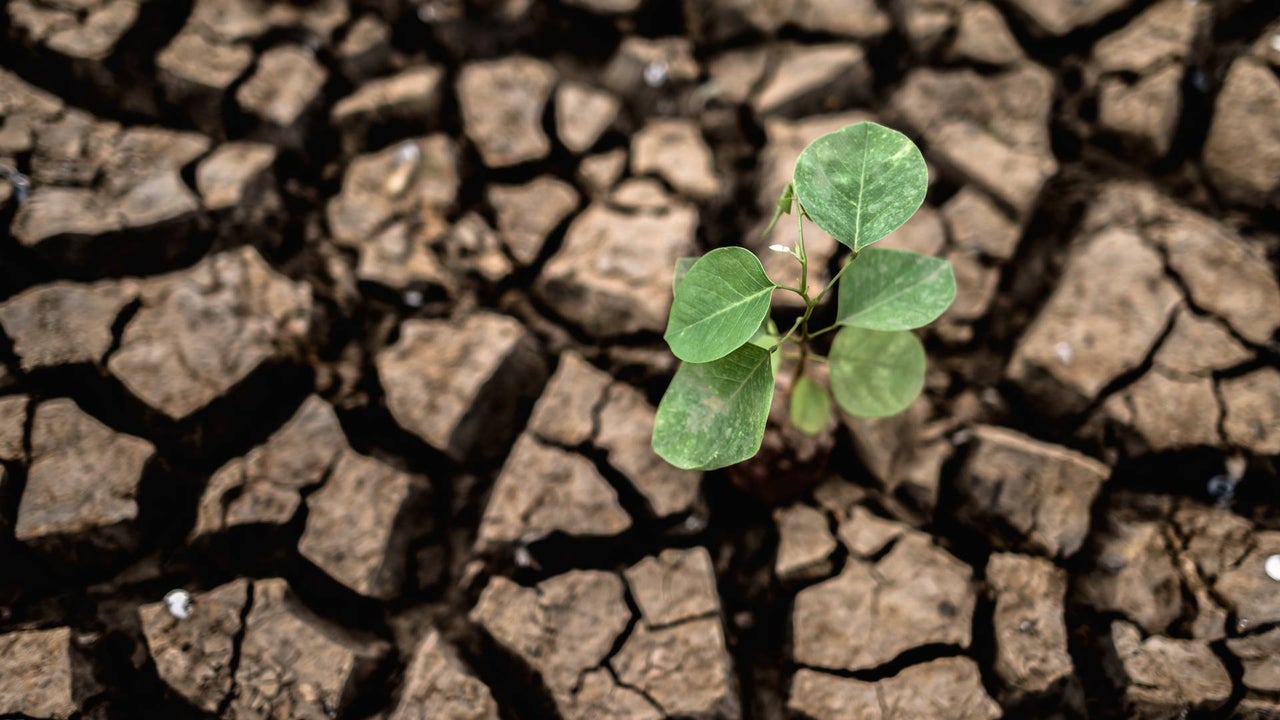 ¿Qué es el fenómeno de El Niño y por qué no afecta igual a todas las regiones? Esto explicó el Ideam