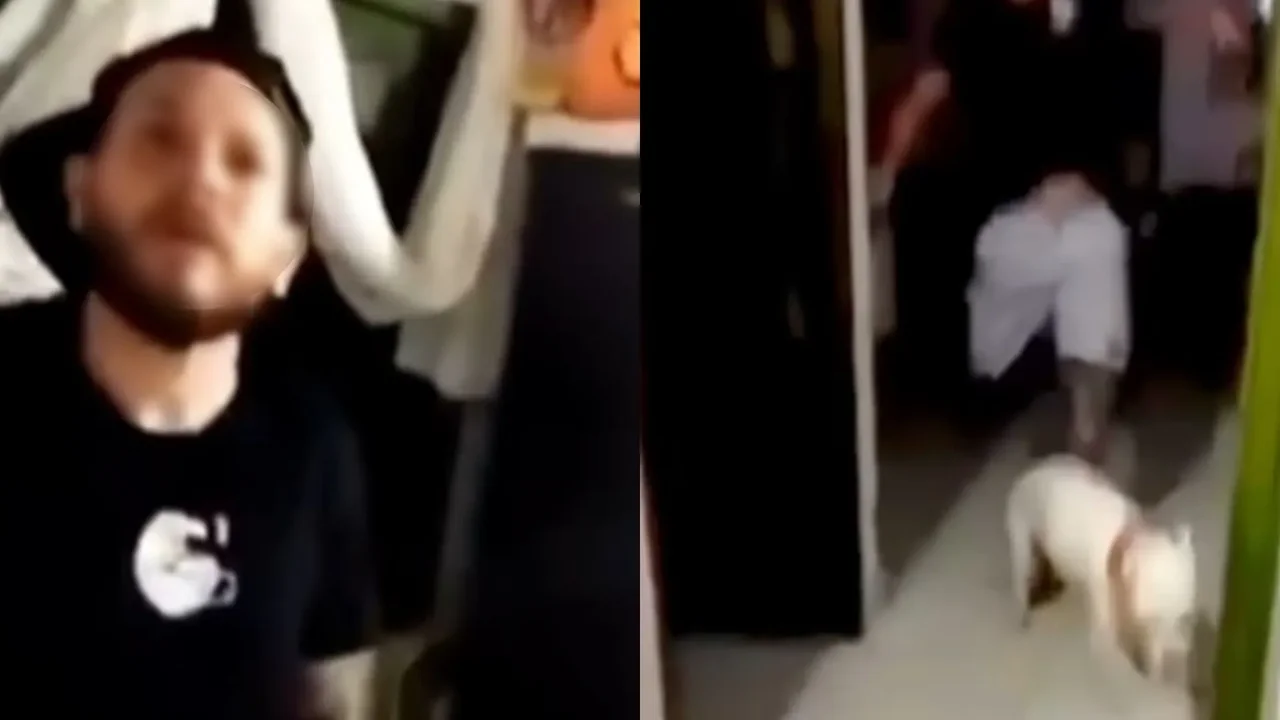 Mujer grabó a su pareja sentimental agrediéndola a ella y a su perrita en Santander: la canina habría muerto