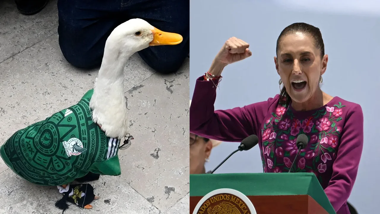 El viral pato Merlín de la Copa del Mundo en México intentó picotear a la presidenta Sheinbaum