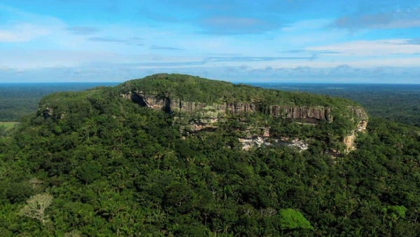 Deforestación en Guaviare: el millonario plan de bioeconomía para salvar la Amazonía Deforestación en Guaviare: el millonario plan de bioeconomía para salvar la Amazonía
