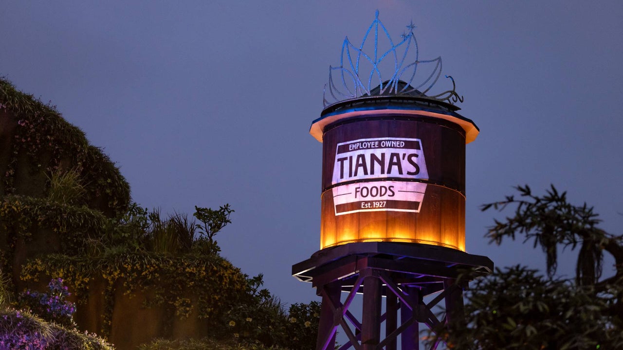 Video captó el momento en que un menor cayó desde más de 10 metros en una atracción de Disneyland