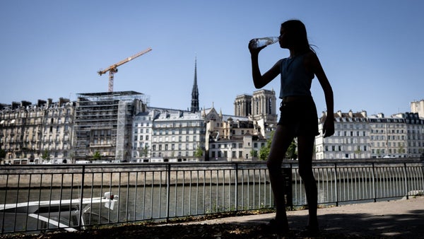 Europa enfrenta récord de calor: cerca de 100 millones de personas vivirán temperaturas de más de los 35 ºC