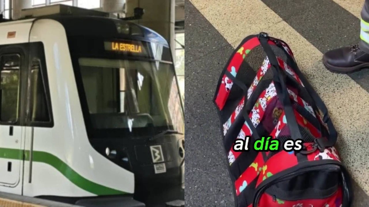 Hombre denunció haber sido expulsado del Metro de Medellín por viajar con su perra: la empresa ya respondió