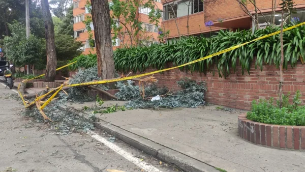 Idiger advierte por descenso de temperatura y fuertes vientos en Bogotá: esto explicaron