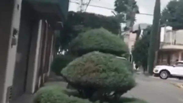 En videos: así se vivió el sismo de 6.1 que se presentó en México el 30 de junio En videos: así se vivió el sismo de 6.1 que se presentó en México el 30 de junio
