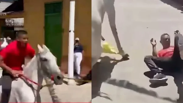 Carrera de caballos en Norte de Santander terminó en accidente: piden investigar los hechos Carrera de caballos en Norte de Santander terminó en accidente: piden investigar los hechos