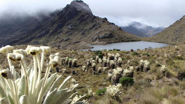 Delimitación exprés del páramo de Santurbán genera desobediencia civil pacífica en Soto Norte