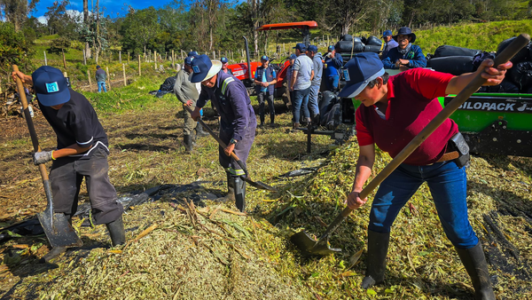 Cundinamarca tiene un plan para el ganado en caso de que fenómeno El Niño afecte los pastizales Cundinamarca tiene un plan para el ganado en caso de que fenómeno El Niño afecte los pastizales