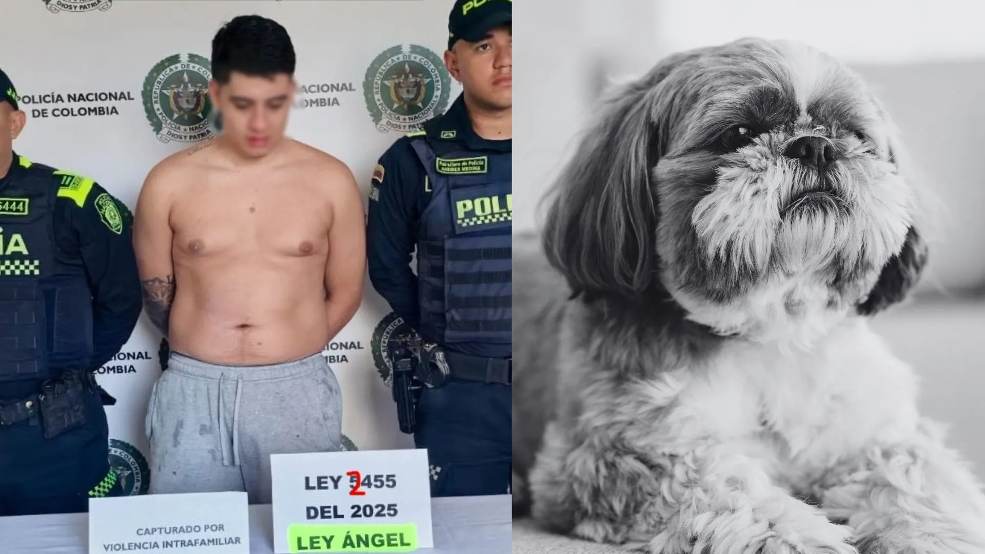 Foto: IG @andreanimalidad y diseñado por Magnific.