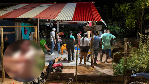 Sujeto se grabó aventando a un gato por un barranco: el caso es investigado en Antioquia Sujeto se grabó aventando a un gato por un barranco: el caso es investigado en Antioquia