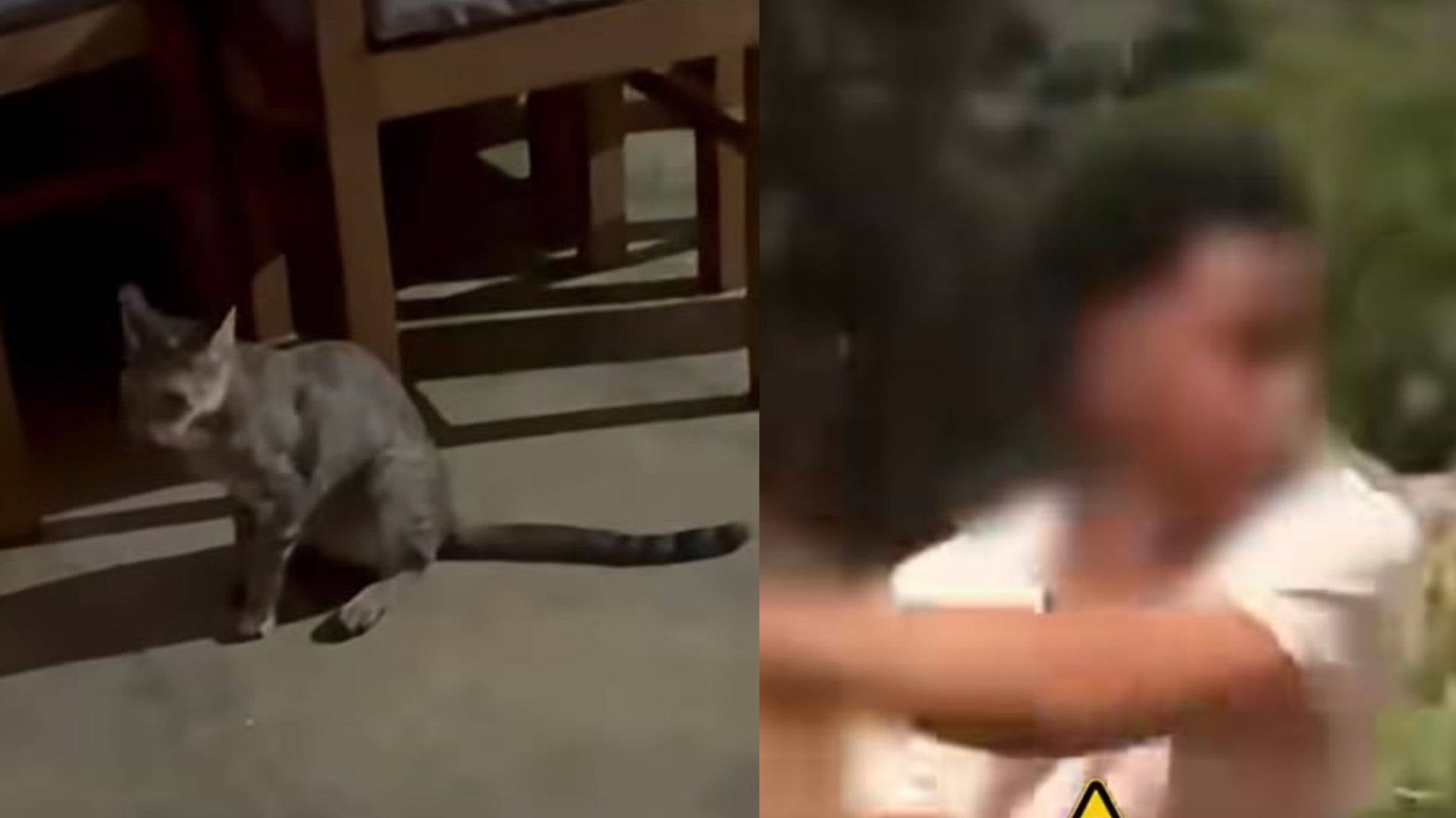 Foto: Captura pantalla IG @andreanimalidad