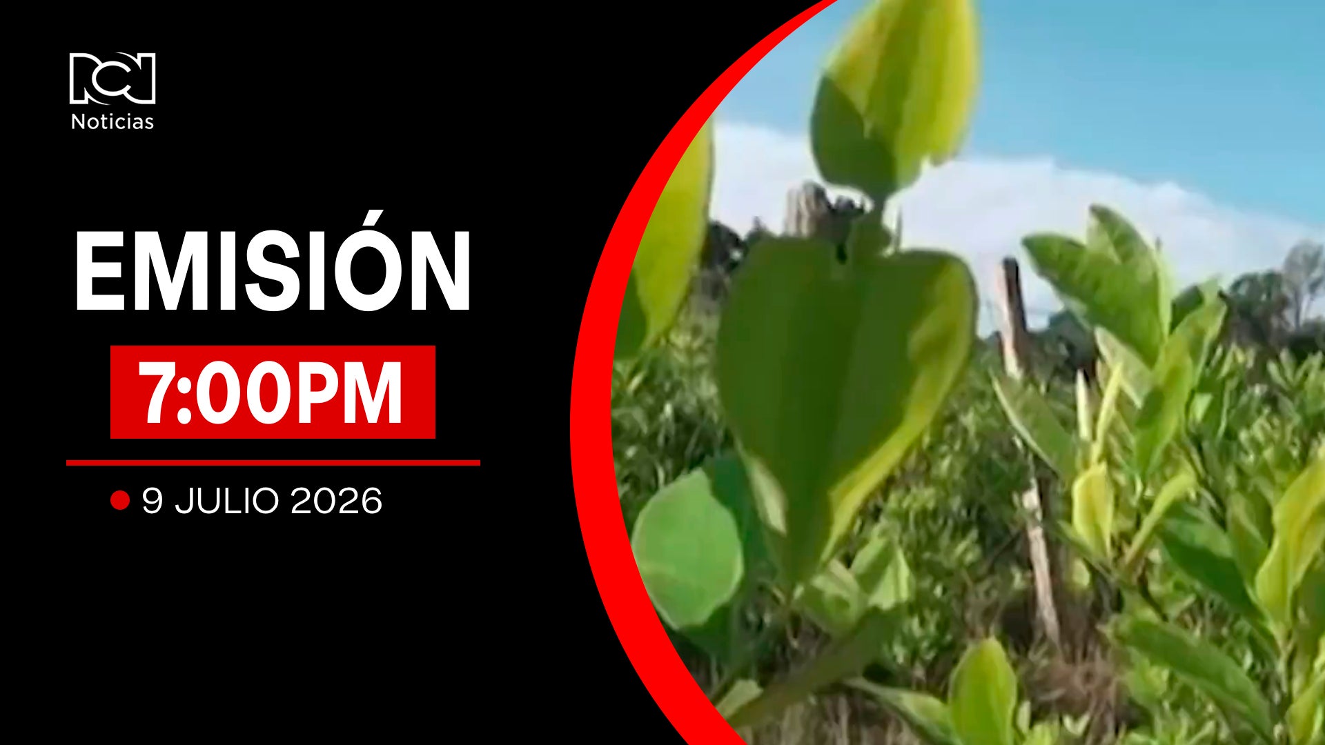 Emisión Noticias RCN 7:00 p. m. / jueves 9 de julio de 2026