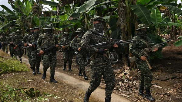Confirman la muerte de 7 narcoterroristas de las disidencias Farc en Nariño Confirman la muerte de 7 narcoterroristas de las disidencias Farc en Nariño