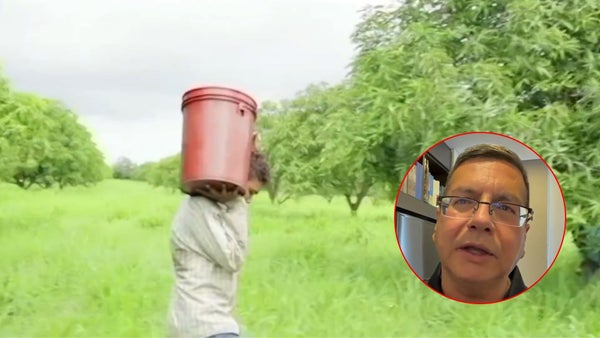 Germán Calderón anuncia denuncia penal por contrato de tierras entre la ANT y la SAE sin ejecutar