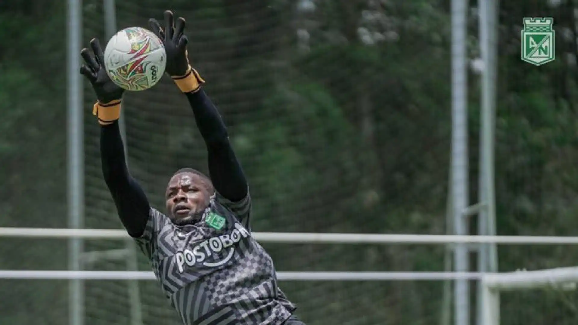 Atlético Nacional confirmó la salida de Harlen Castillo: ¿Quién será el nuevo arquero 'verdolaga?