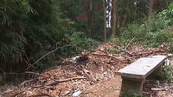 Presunto feminicidio en Sabaneta: joven de 17 años habría sido asesinada por su expareja Presunto feminicidio en Sabaneta: joven de 17 años habría sido asesinada por su expareja