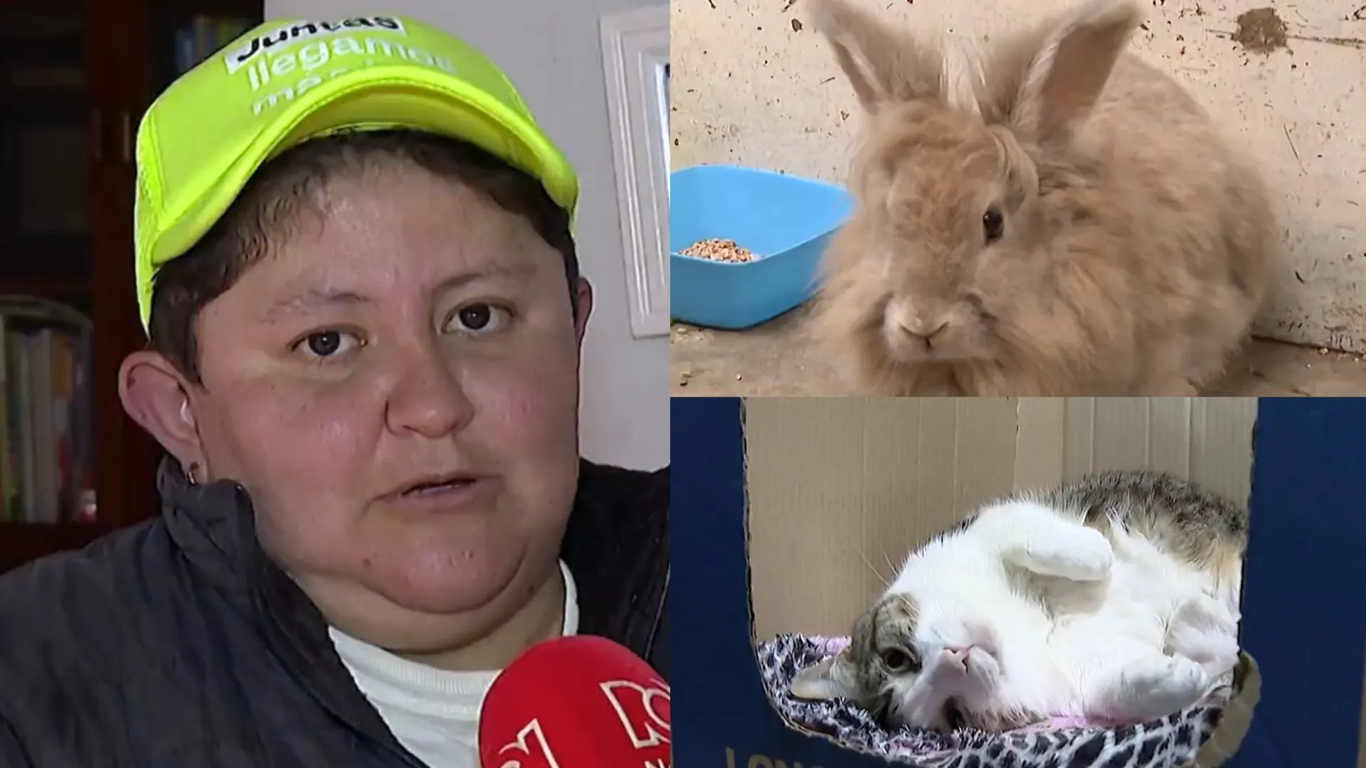 Foto: Captura pantalla Noticias RCN
