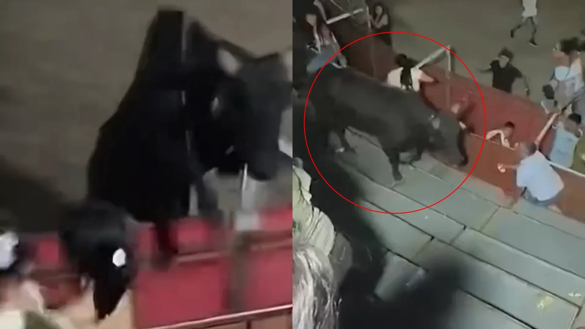 Toro se saltó barrera en Corraleja en Coyaima