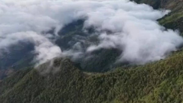 Sobrevuelo evidenció la magnitud de los incendios en Nariño: las llamas ya arrasaron más de 2.000 hectáreas Sobrevuelo evidenció la magnitud de los incendios en Nariño: las llamas ya arrasaron más de 2.000 hectáreas