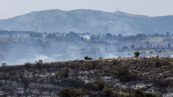 Incendio al norte de Madrid arrasa 32.000 hectáreas y obliga a evacuar a más de mil personas Incendio al norte de Madrid arrasa 32.000 hectáreas y obliga a evacuar a más de mil personas