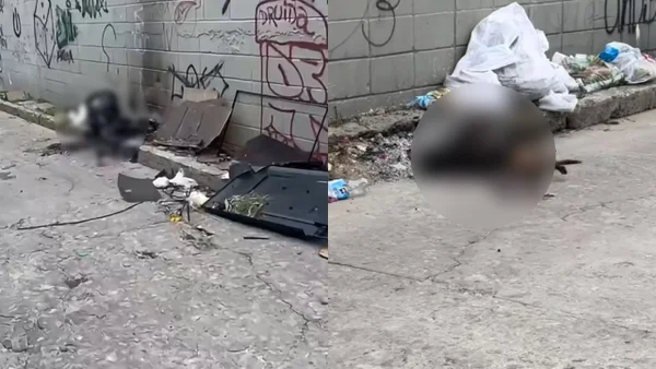 Aberrante hallazgo: dos perros fueron encontrados incinerados sobre un andén en Barranquilla