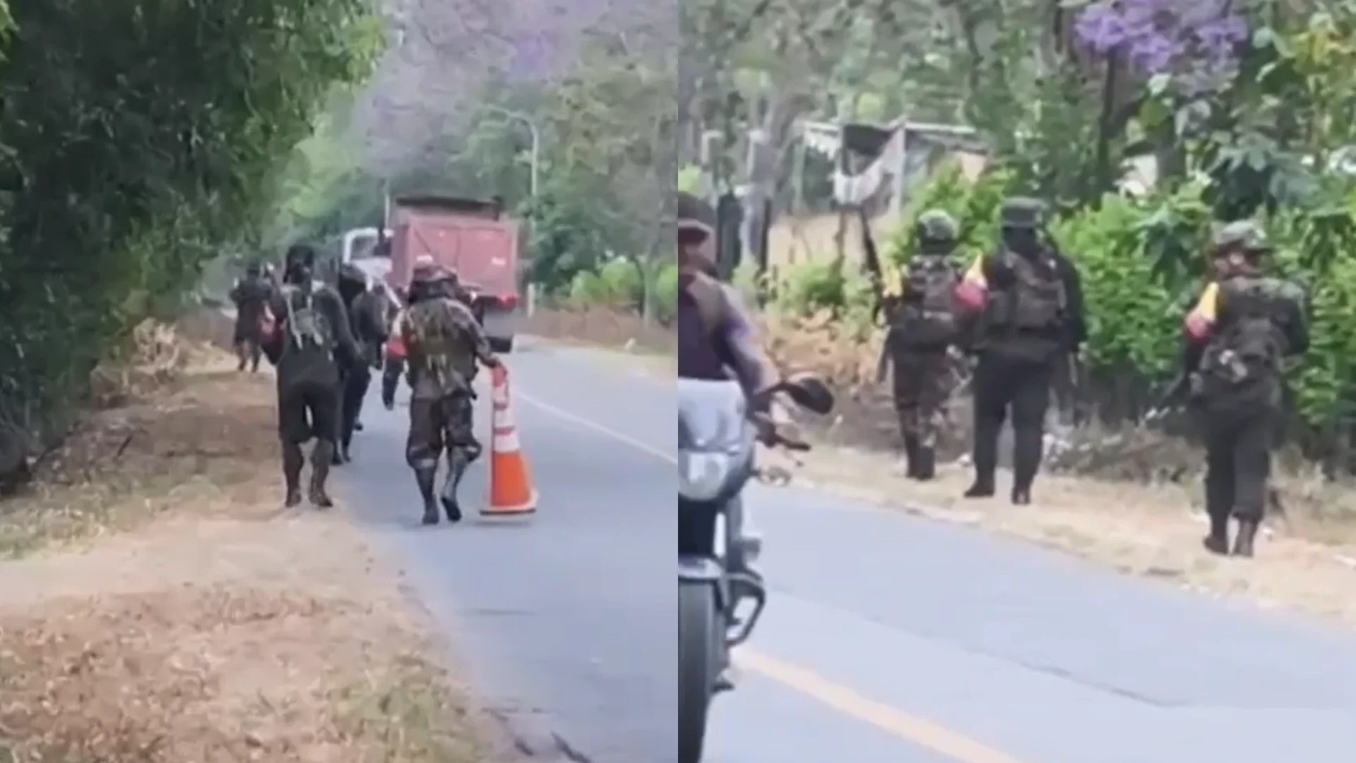 Disidentes en Cauca.