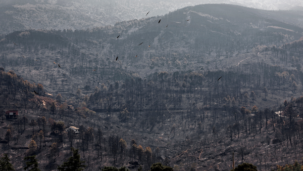 Emergencia por incendio cerca a Madrid se levanta y en Francia más de 80.000 evacuados vuelven a sus hogares