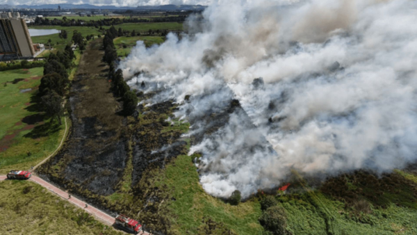 Autoridades revelaron las posibles causas detrás del incendio en el humedal Jaboque Autoridades revelaron las posibles causas detrás del incendio en el humedal Jaboque